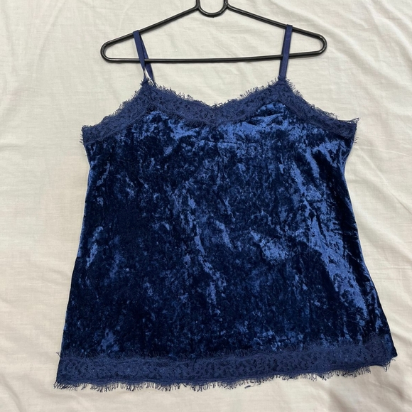Blue velvet camisole - Picture 2 of 10